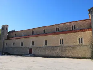 Villa Graça -Hostels and Apartments