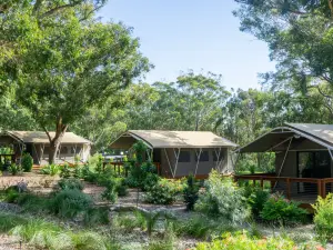 Port Stephens Koala Sanctuary