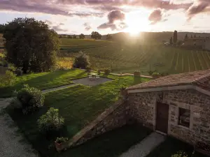 Wine Estate Paradiso di Cacuci