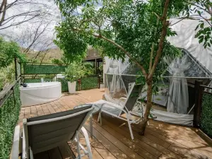 Glamping Tortuga Verde