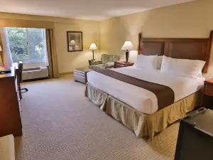 Holiday Inn Express & Suites Asheville Downtown