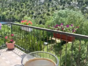 Villa Bašić