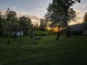 Vēsturiska viensēta Kārkliņi