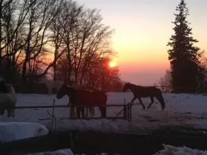 Gîte de Montagne au Pied du Champ du Feu (Alsace)