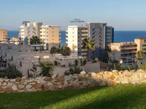 호텔 플라야스 데 토레비에하