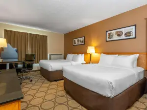Comfort Inn