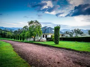 The Crested Crane Bwindi Hotel