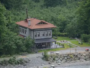 Vice's Konağı