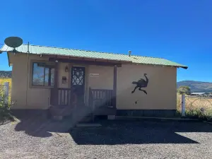 The Ostrich House! Cozy, comfortable and private.