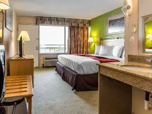 South Bay Inn