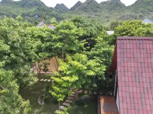 Tropical Valley Homestay - Villas