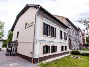 Vén Diófa De Lux Panzió
