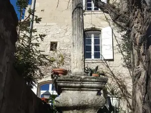 Chambres d'Hôtes Lou Calvari