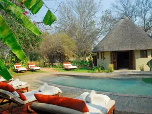 Divava Okavango Resort & Spa