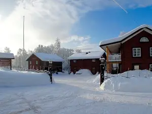 Mannflogården Bed & Breakfast , Sälenfjällen