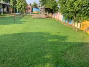 Nature Resort