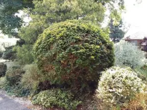 Living .... Bungalow Mit großem Garten .