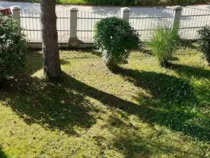 Smještaj na Selu,Porodica Gvozdenac