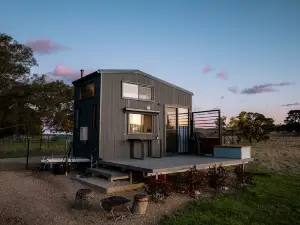 Eco tiny home williwa