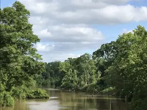 Your own private camper located near the Bogue Chitto River!