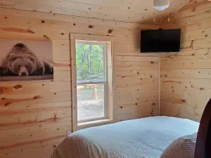 New Construction Cabin - Waterfront, Wooded, on ATV/Snowmobile trails