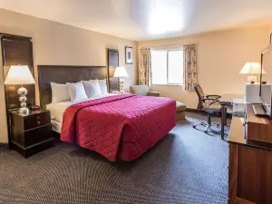Cedars Inn