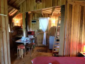 Cabane Dans les Arbres - Tree House