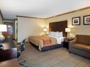 Comfort Inn Castro Valley