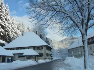 Haus Barnabas im Engel, Gasthaus Engel