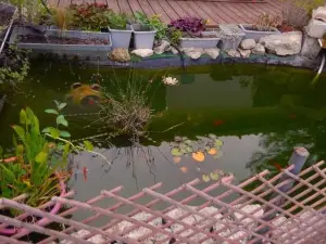 Le Clos des Passiflores - Chambres et Table d'Hôtes