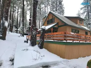 Toste Cabin- Spacious 3Br Cabin in East Village!