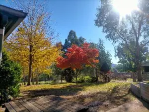 Riverbend Homestead