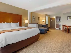 Comfort Inn & Suites Wilkes Barre - Arena