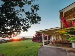 Hulili Tropical Fruit Farm- With over 200 five star reviews!