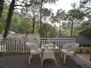 Jungle Lodge Resort