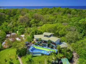 Jungles Edge Hotel, Jiu Jitsu, Muay Thai Retreat Center