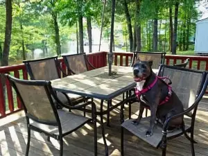 Holy Toledo Properties - Lake Escape