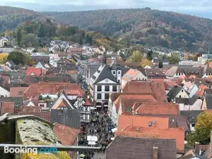 Wohnen im Springerhof