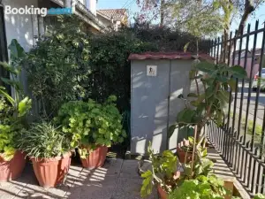 Casa Roble Añejo Bed & Breakfast