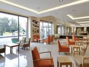 Ibis Amman