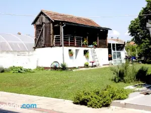 Lux House Olga