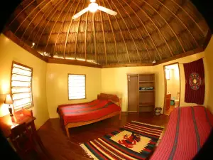 Cohune Palms River Cabanas