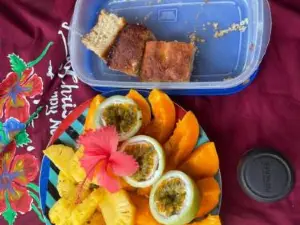 Discover Taveuni Retreats