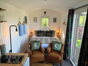 BroomBush