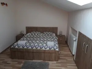 Penthouse Apartament Nufarul Oradea