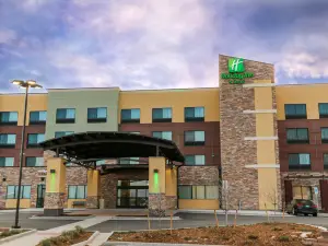 Holiday Inn & Suites DENVER TECH CENTER-CENTENNIAL by IHG