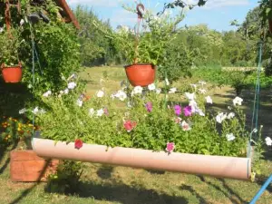 Gazdinstvo Tadić