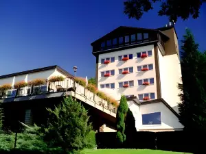 Hotel Reifenstein