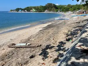 JCALM beach Cottage#2, Darigayos cove, Luna, LU