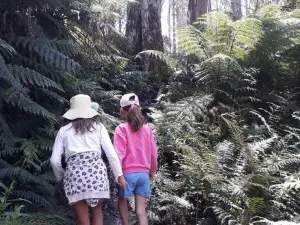 Erica Escape